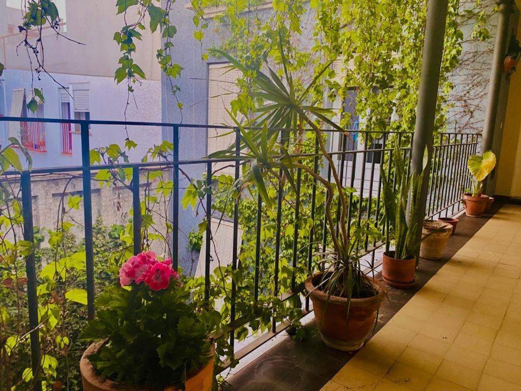 Innsevillaluxury Apartment Pilatos Exterior foto
